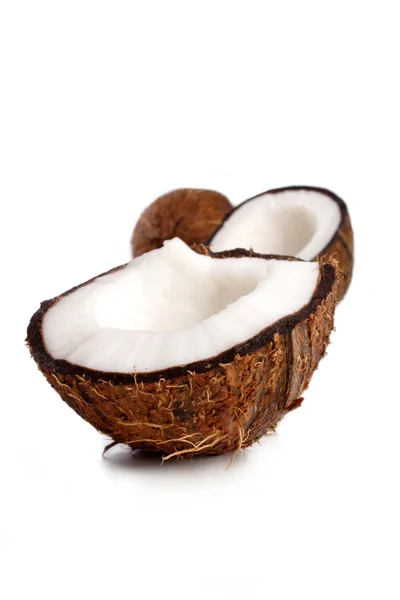 白 backround のココナッツ — ストック写真
