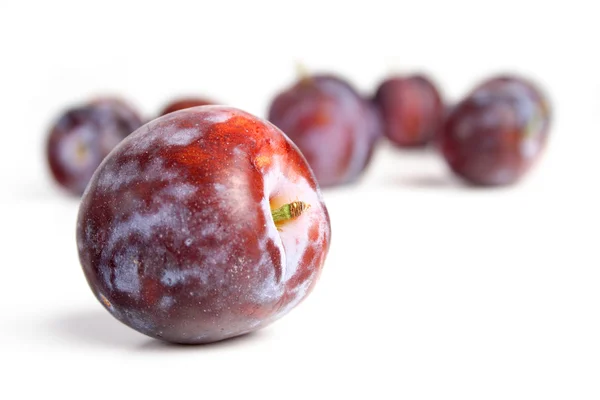 Ameixas doces frescas — Fotografia de Stock