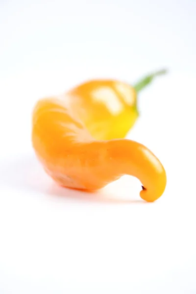 Papryczka chilli pomarańczowy — Zdjęcie stockowe