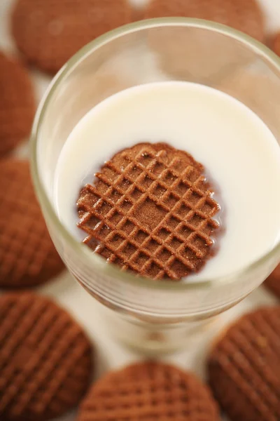 Galleta en vaso de leche — Foto de Stock