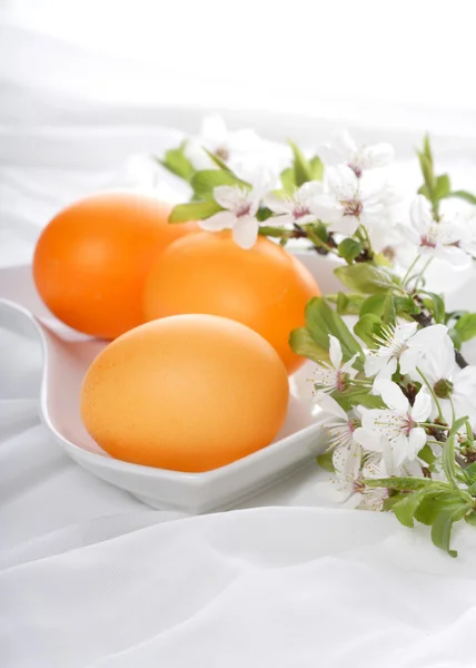 Orange easter eggs — Stock Photo, Image