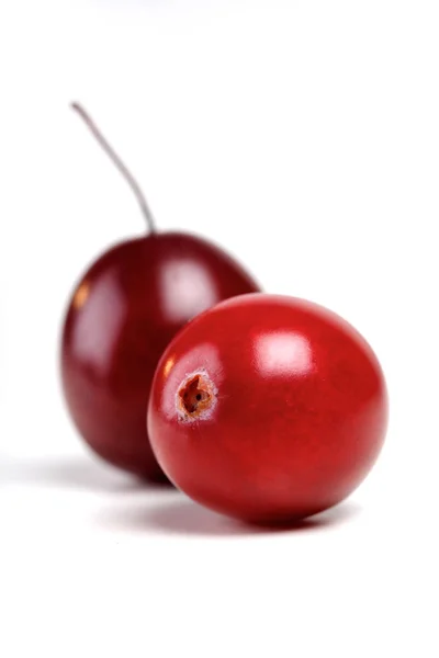 Fresh ripe cranberries — Stock Photo, Image