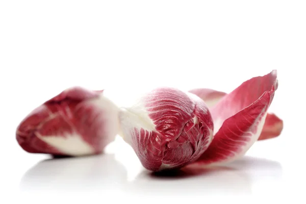 Produtos hortícolas de chicória frescos — Fotografia de Stock