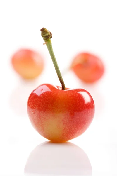 Fresh ripe Cherries — Stock Photo, Image