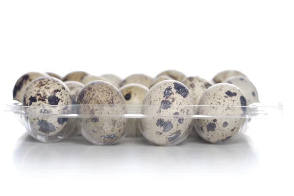 Fresh Quail eggs — Stock Photo, Image