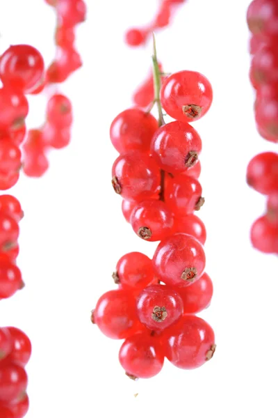 Fresh ripe  redcurrants — Stock Photo, Image