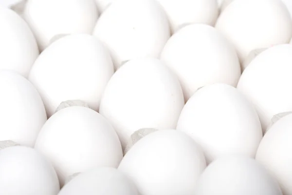 Свежие белые яйца — стоковое фото