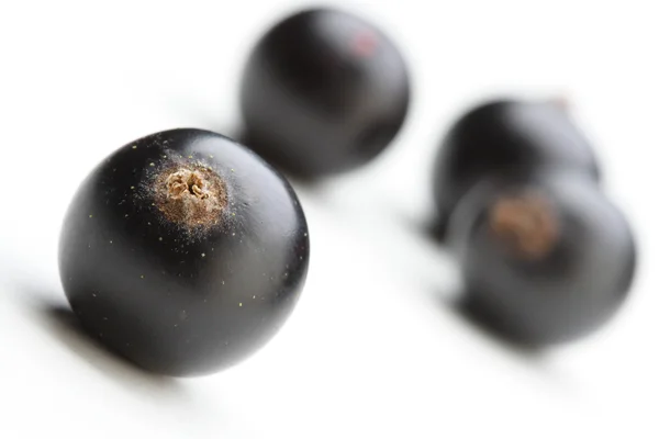 Fresh black currants — Stock Photo, Image