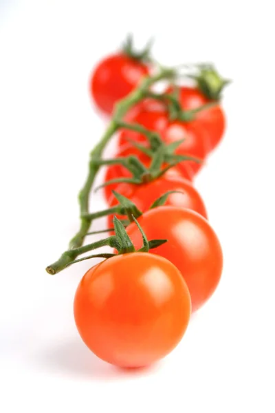 Red Cherry tomatoes — Stock Photo, Image