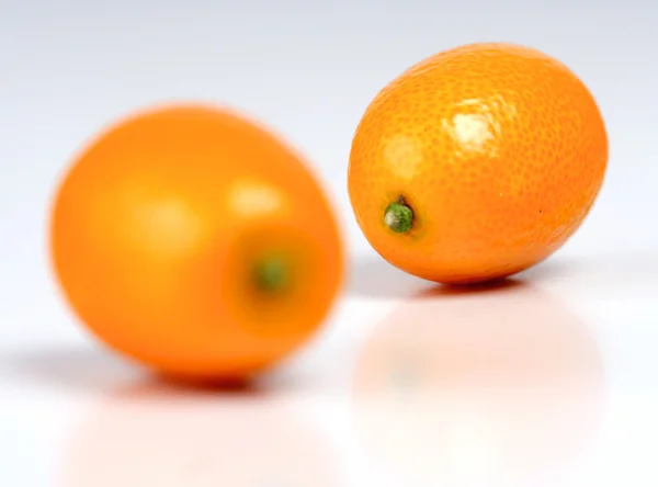 Frugter af appelsin Kumquat - Stock-foto