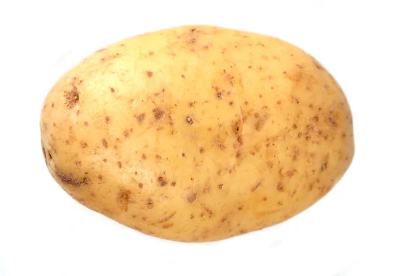 Taze beyaz patates — Stok fotoğraf