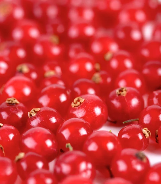 Fresh ripe redcurrants — Stock Photo, Image