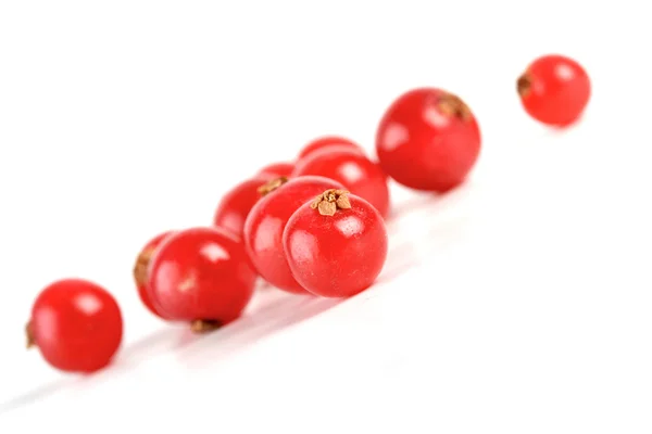 Redcurrants — Stock Photo, Image