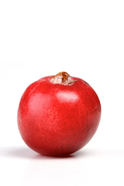 Fresh ripe Cranberry — Stock Photo, Image