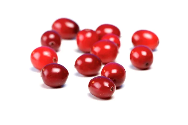 Fresh ripe cranberries — Stock Photo, Image
