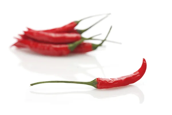 Červené chilli papričky — Stock fotografie