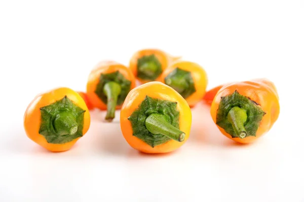 Πορτοκαλί καυτερές πιπεριές — Φωτογραφία Αρχείου