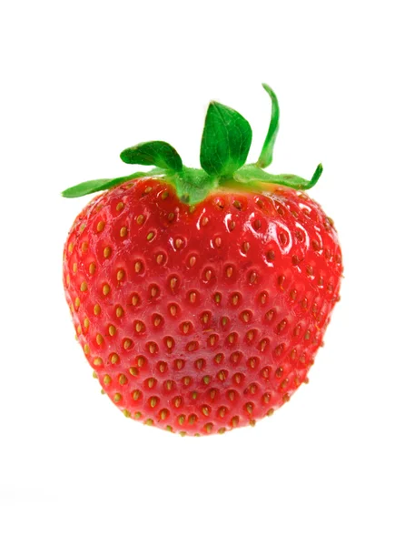 Frische süße Erdbeere — Stockfoto