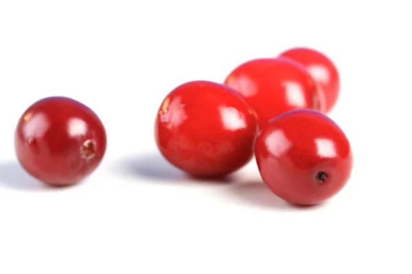 Frische reife Preiselbeeren — Stockfoto