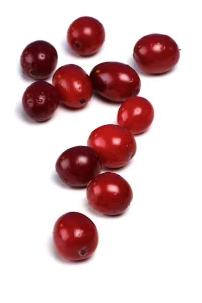 Fresh ripe cranberries — Stock Photo, Image