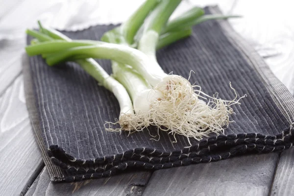 Leeks on black cloth — Stock Photo, Image