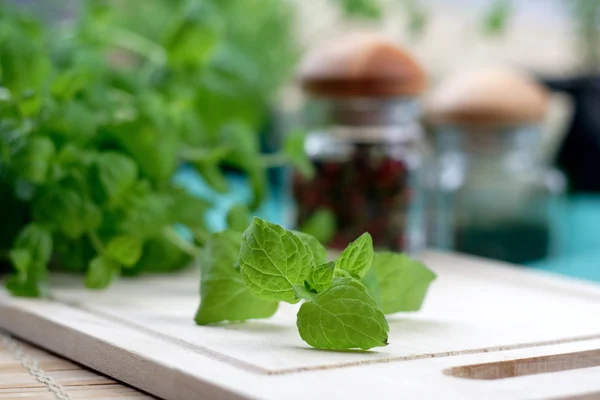 Fresh green oregano — Stock Photo, Image