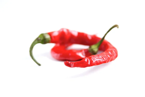 Rote Chilischoten — Stockfoto