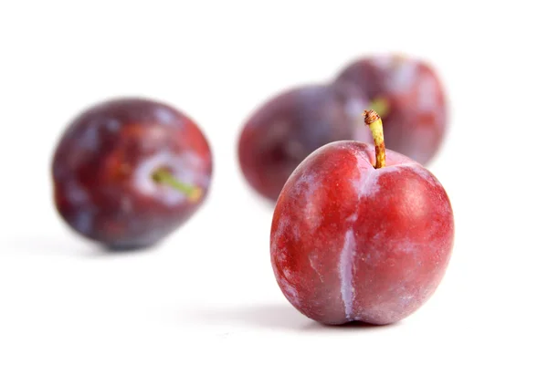 Fresh sweet plums — Stock Photo, Image
