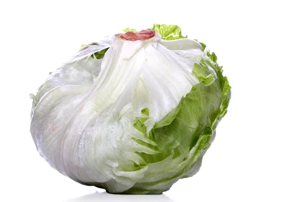 Fresh dreen cabbage — Stock Photo, Image