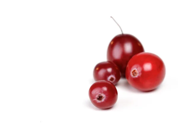 Fresh ripe cranberries — Stock Photo, Image