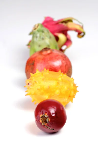 Samenstelling van exotisch fruit — Stockfoto