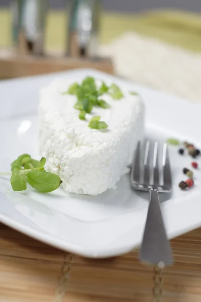 Käse auf weißem Teller polieren — Stockfoto