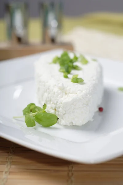 Queso polaco en plato blanco —  Fotos de Stock