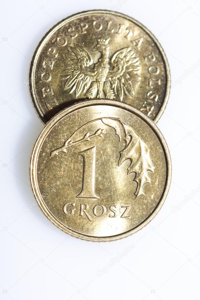 Polish currency, coins