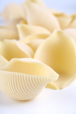İtalyan Conchiglie makarna