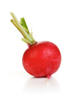 Yeni raddish