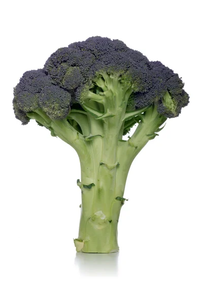 Friss zöld brokkoli — Stock Fotó