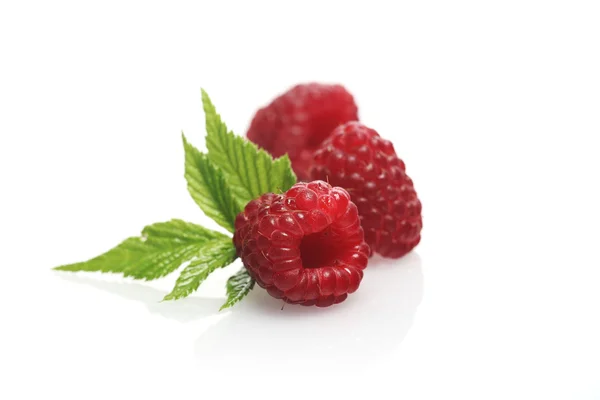 Raspberries and green leaves — Stock Photo, Image