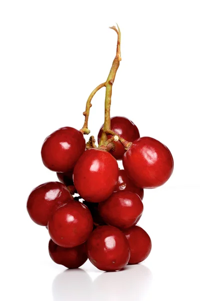 Branch of red grapes — Stock Photo, Image