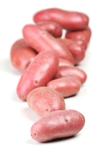 Närbild på röda potatis — Stockfoto