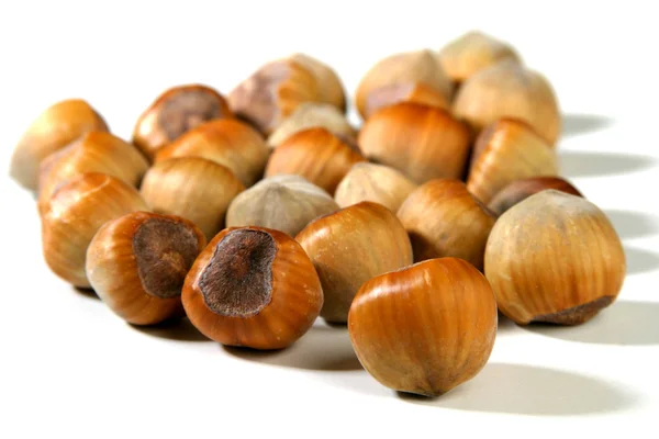 Brown tasty hazelnuts — Stock Photo, Image