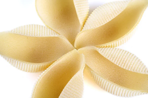 Italian Conchiglie pasta — Stock Photo, Image