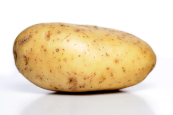 Великий білий картопля — стокове фото