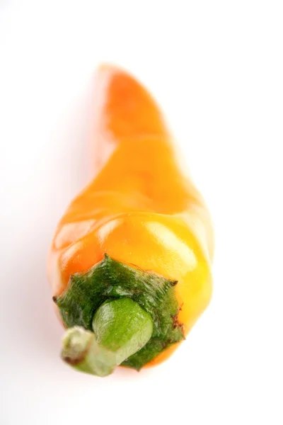 Oranje Chili peper — Stockfoto