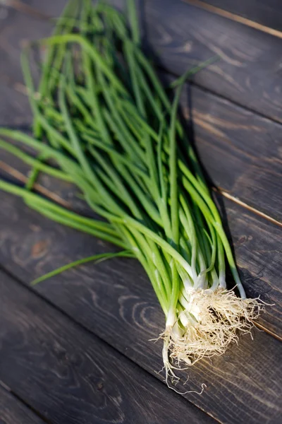 Studio shot of chive — Stock Photo, Image