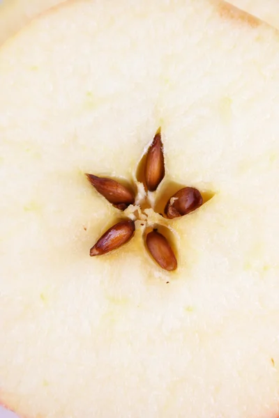 갈색 사과 씨앗 — 스톡 사진