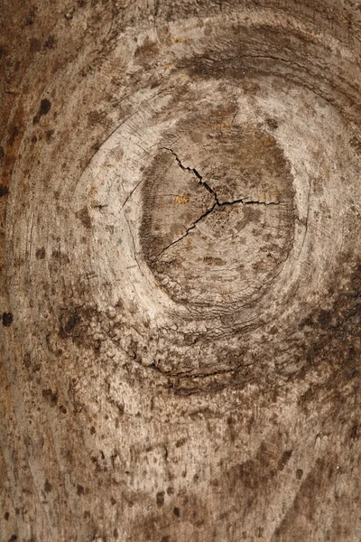 Textura de madera vieja —  Fotos de Stock