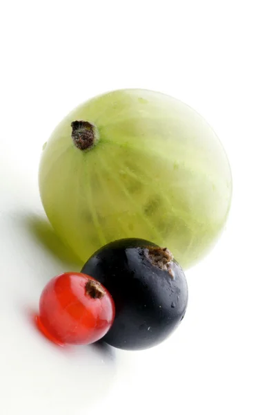Goosebarry, svarta vinbär och röda vinbär — Stockfoto