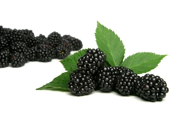 Fresh ripe  blackberries — Stock Photo, Image