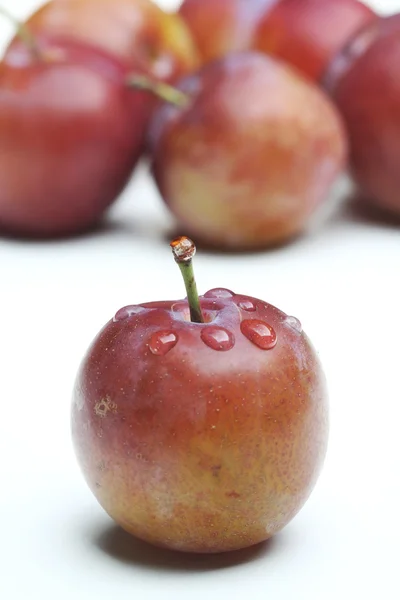 Taze olgun Erik — Stok fotoğraf